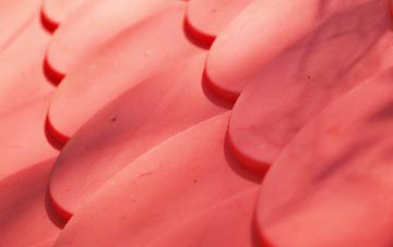 Murchington plastic roof costs